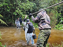 acari_038.jpg